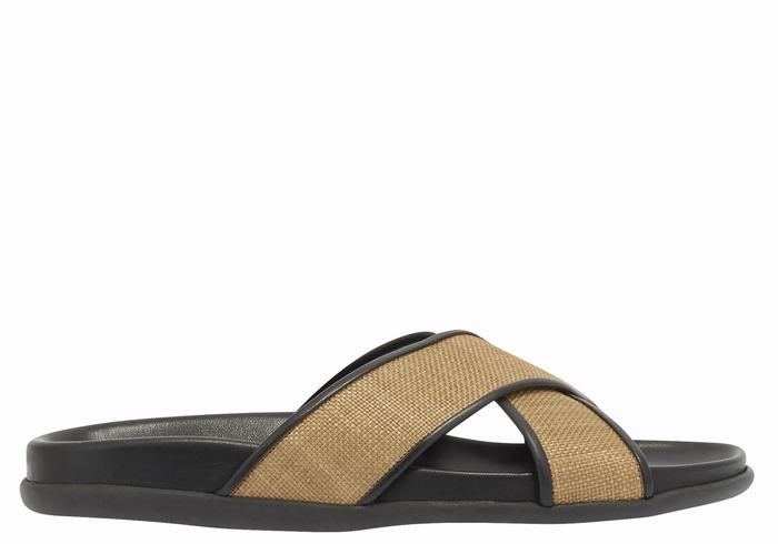 Brown Black Ancient Greek Sandals Thais Footbed Women Slide Sandals | TAJ7269LI