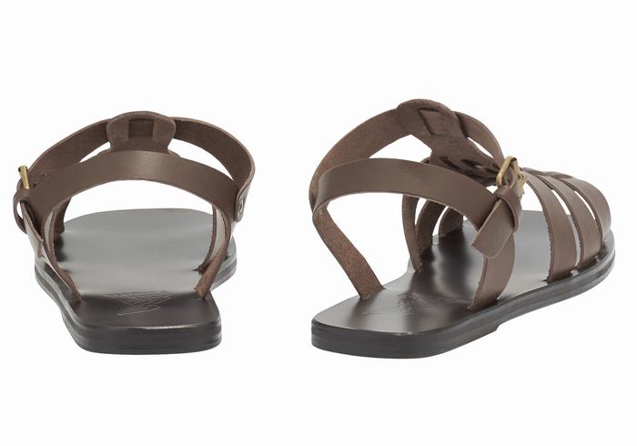 Chocolate Ancient Greek Sandals Ektoras Leather Men Fisherman Sandals | LTY406DP