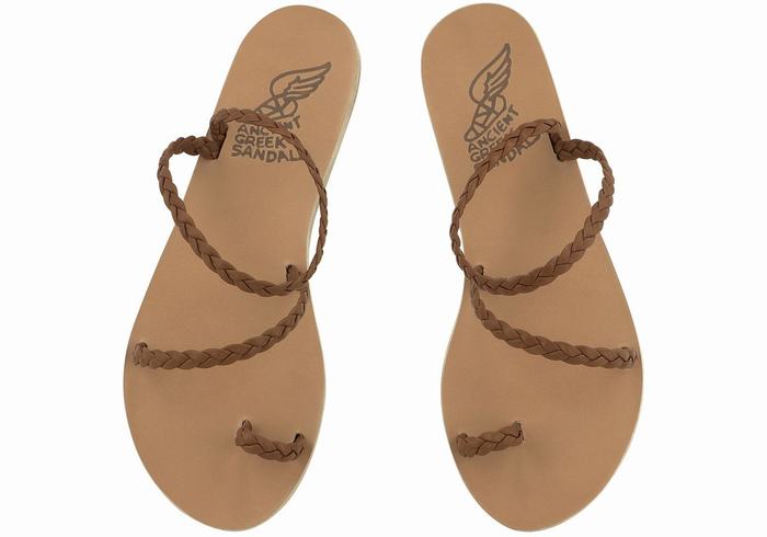 Chocolate Ancient Greek Sandals Eleftheria Leather Women Braided Sandals | BAF32RI