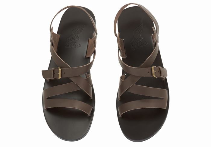 Chocolate Ancient Greek Sandals Hercules Leather Men Casual Sandals | ZNH7082BK