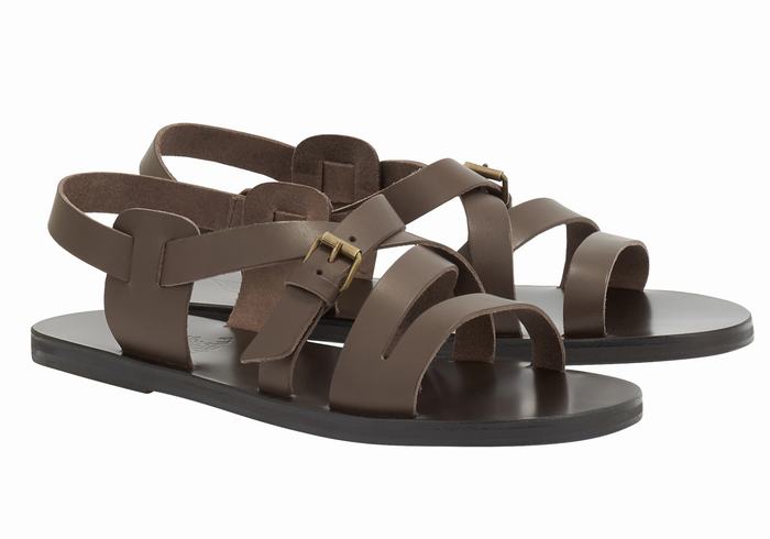 Chocolate Ancient Greek Sandals Hercules Leather Men Casual Sandals | ZNH7082BK