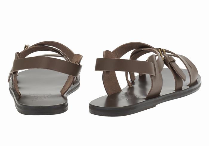 Chocolate Ancient Greek Sandals Hercules Leather Men Casual Sandals | ZNH7082BK