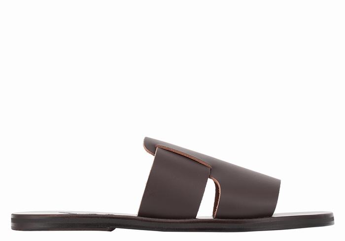 Chocolate Ancient Greek Sandals Miltiadis Leather Men Slide Sandals | WIP281SR