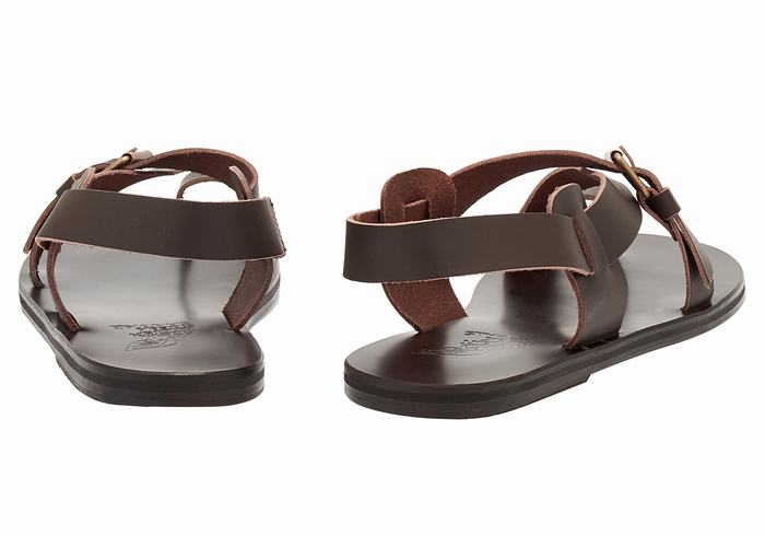 Chocolate Ancient Greek Sandals Paris Leather Men Toe-Post Sandals | UVH5263QM