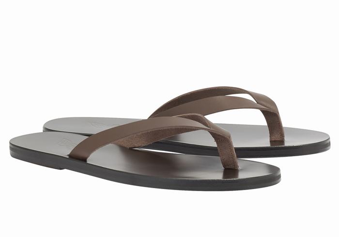 Chocolate Ancient Greek Sandals Solon Leather Men Flip Flops | CJA7317YN