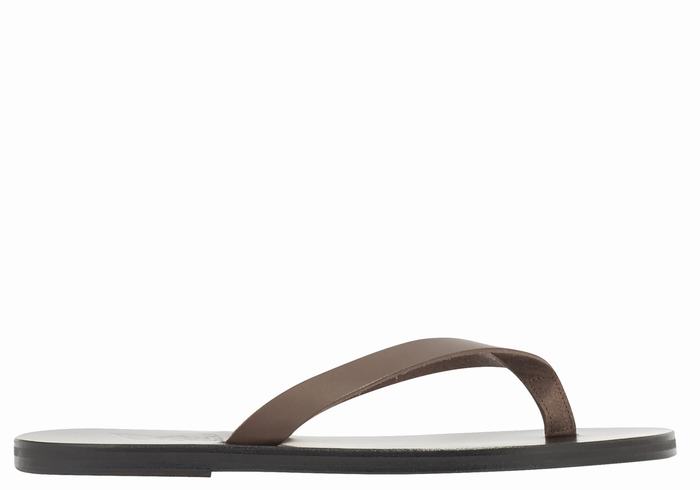 Chocolate Ancient Greek Sandals Solon Leather Men Flip Flops | CJA7317YN