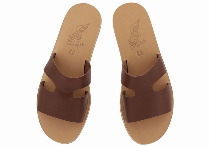 Coffee Ancient Greek Sandals Apteros Men Slide Sandals | OJI3612MN