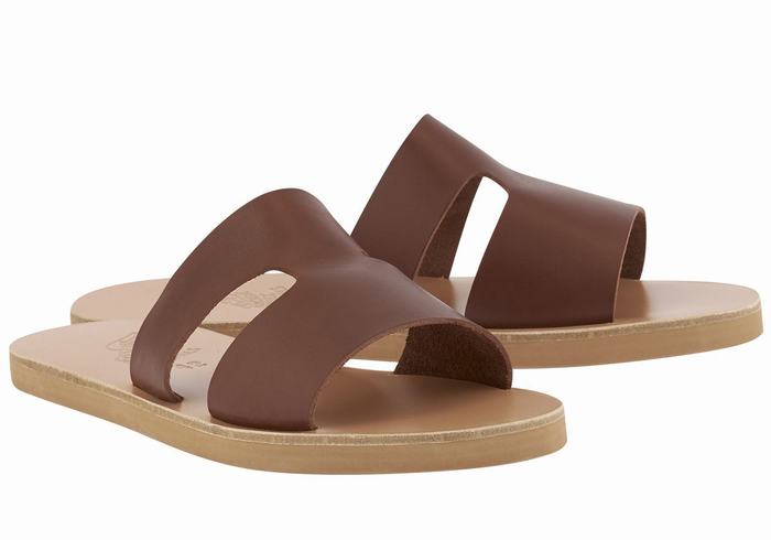 Coffee Ancient Greek Sandals Apteros Men Slide Sandals | OJI3612MN