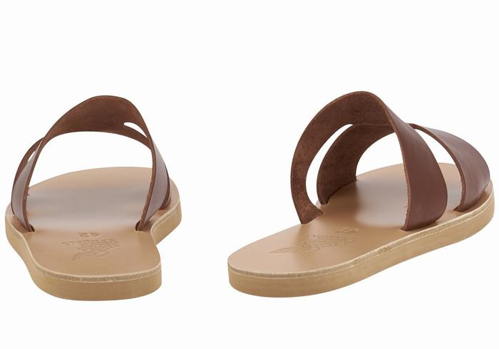 Coffee Ancient Greek Sandals Apteros Men Slide Sandals | OJI3612MN