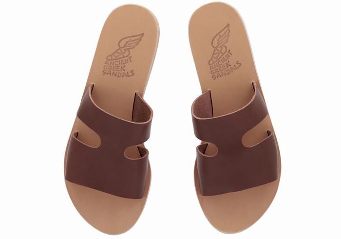 Coffee Ancient Greek Sandals Apteros Women Slide Sandals | HTO2959WP