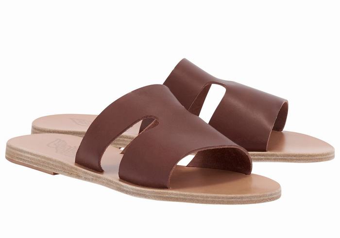 Coffee Ancient Greek Sandals Apteros Women Slide Sandals | HTO2959WP