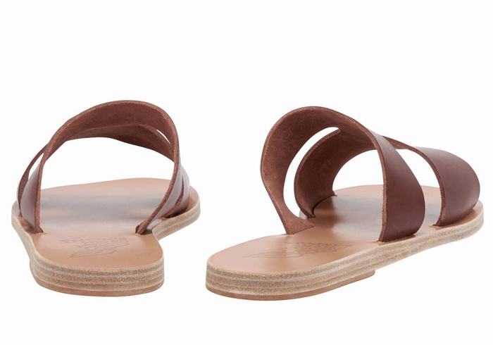 Coffee Ancient Greek Sandals Apteros Women Slide Sandals | HTO2959WP