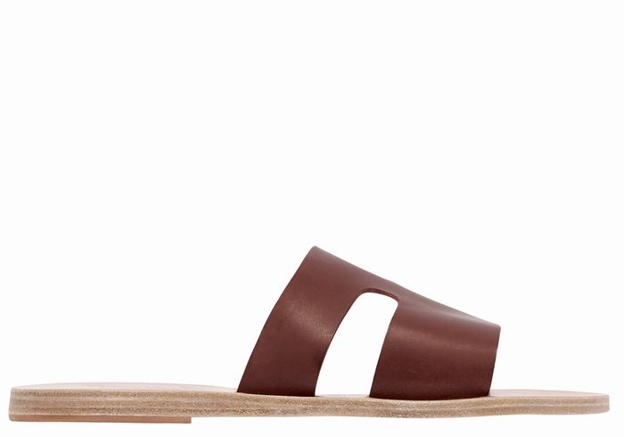 Coffee Ancient Greek Sandals Apteros Women Slide Sandals | HTO2959WP