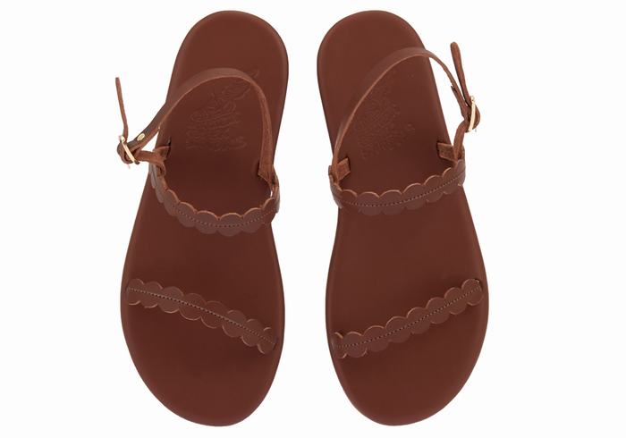 Coffee Ancient Greek Sandals Aroula Women Back-Strap Sandals | BHM4713DC