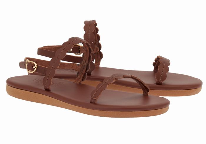 Coffee Ancient Greek Sandals Aroula Women Back-Strap Sandals | BHM4713DC