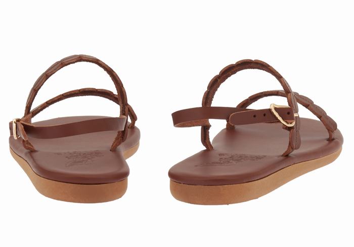 Coffee Ancient Greek Sandals Aroula Women Back-Strap Sandals | BHM4713DC