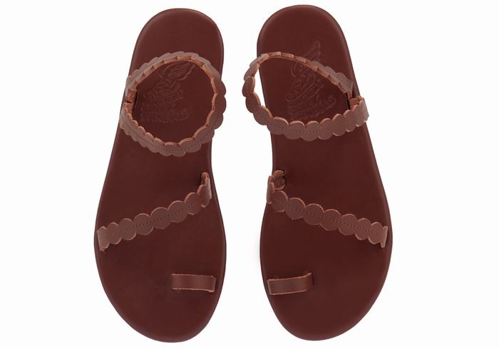 Coffee Ancient Greek Sandals Aura Women Toe-Post Sandals | IMY2040MI