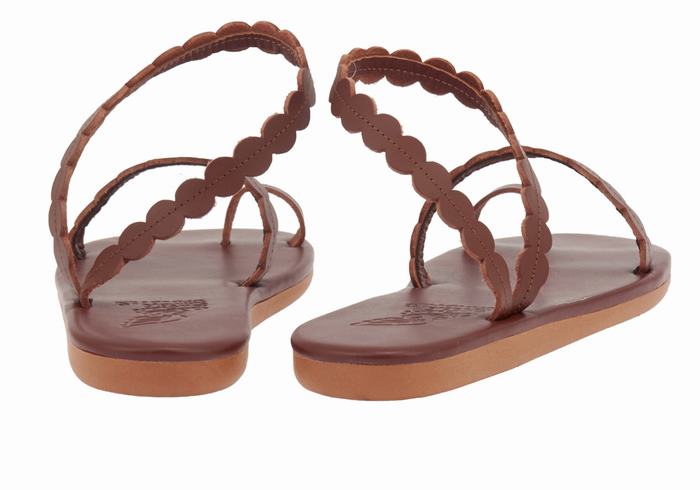 Coffee Ancient Greek Sandals Aura Women Toe-Post Sandals | IMY2040MI