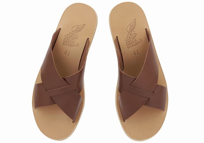 Coffee Ancient Greek Sandals Bios Men Slide Sandals | LLL8751MB