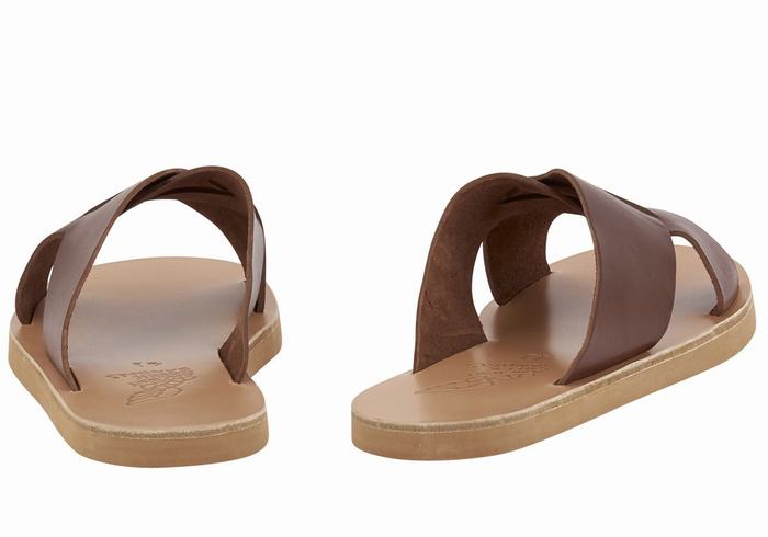 Coffee Ancient Greek Sandals Bios Men Slide Sandals | LLL8751MB