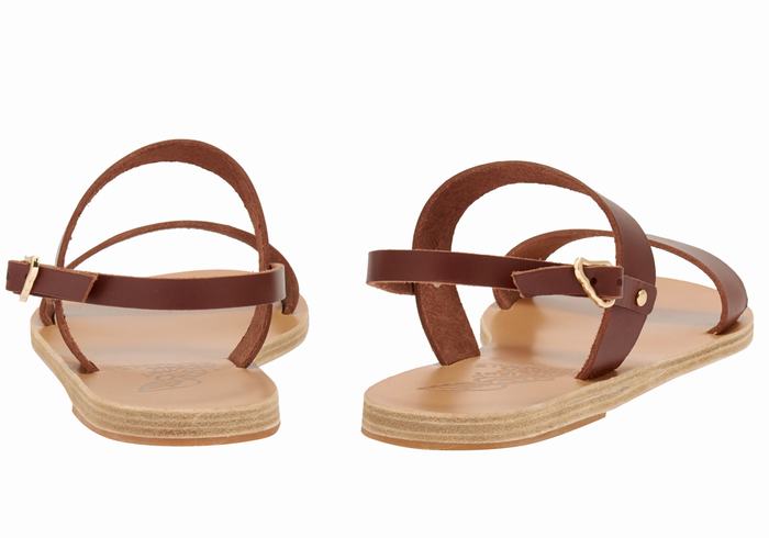 Coffee Ancient Greek Sandals Clio Women Back-Strap Sandals | KSG8851BT