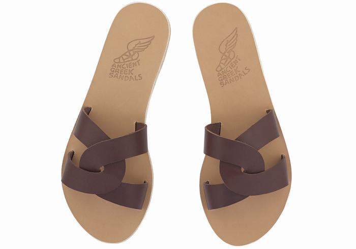 Coffee Ancient Greek Sandals Desmos Women Slide Sandals | ZUF1566RD