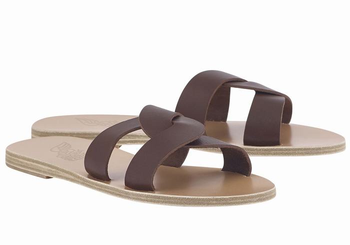 Coffee Ancient Greek Sandals Desmos Women Slide Sandals | ZUF1566RD