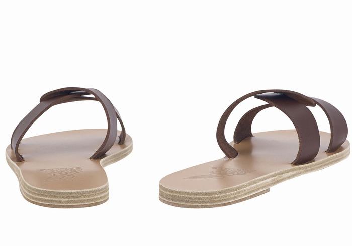 Coffee Ancient Greek Sandals Desmos Women Slide Sandals | ZUF1566RD