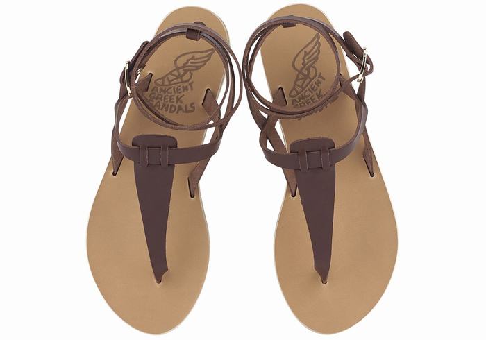 Coffee Ancient Greek Sandals Estia Leather Women Ankle Strap Sandals | JDB6560PN