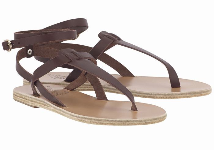 Coffee Ancient Greek Sandals Estia Leather Women Ankle Strap Sandals | JDB6560PN