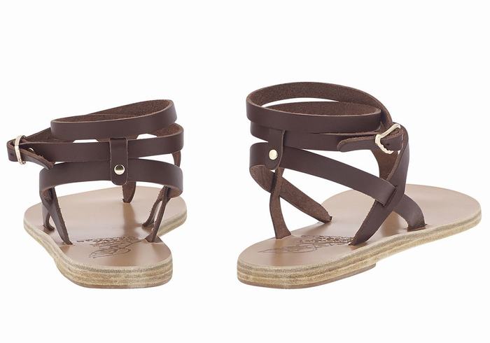 Coffee Ancient Greek Sandals Estia Leather Women Ankle Strap Sandals | JDB6560PN