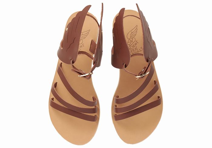 Coffee Ancient Greek Sandals Ikaria Leather Women Ankle Strap Sandals | FSO4546YP