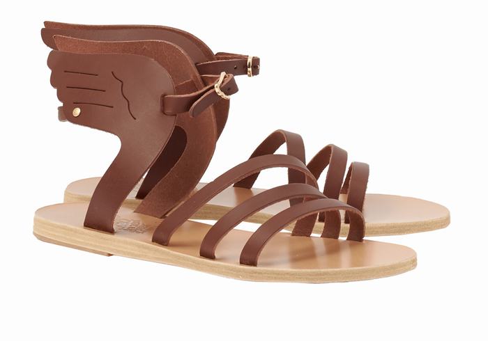 Coffee Ancient Greek Sandals Ikaria Leather Women Ankle Strap Sandals | FSO4546YP