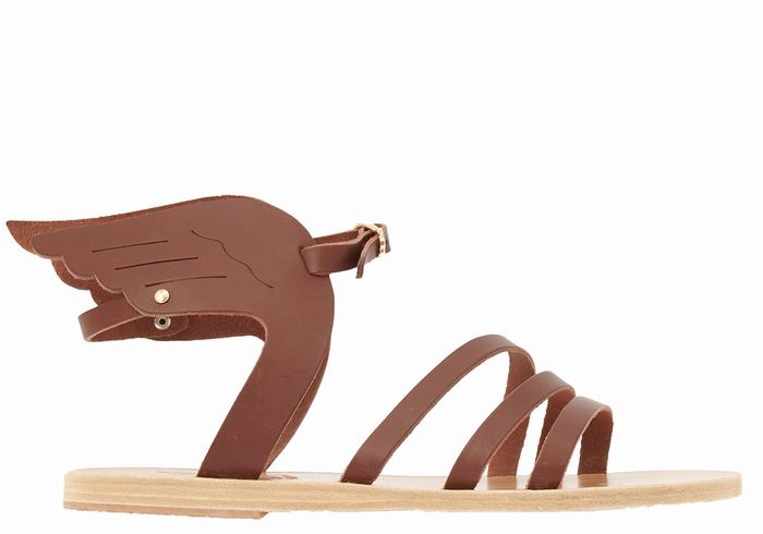 Coffee Ancient Greek Sandals Ikaria Leather Women Ankle Strap Sandals | FSO4546YP