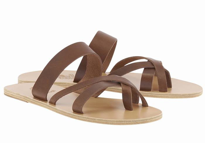 Coffee Ancient Greek Sandals Jason Leather Men Slide Sandals | EJV3635NH