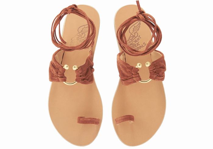 Coffee Ancient Greek Sandals Kerasia Women Gladiator Sandals | KKS74100BY