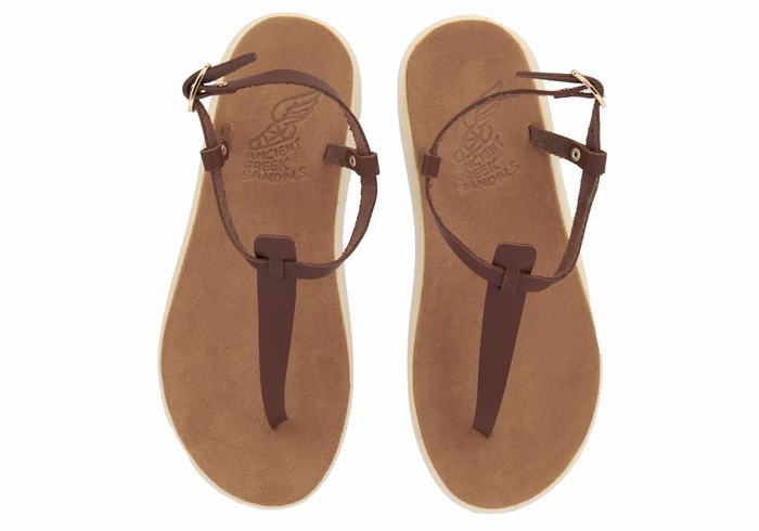 Coffee Ancient Greek Sandals Lito Comfort Women Back-Strap Sandals | ZWV5786AZ