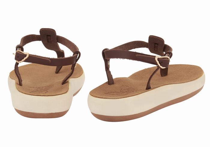 Coffee Ancient Greek Sandals Lito Comfort Women Back-Strap Sandals | ZWV5786AZ