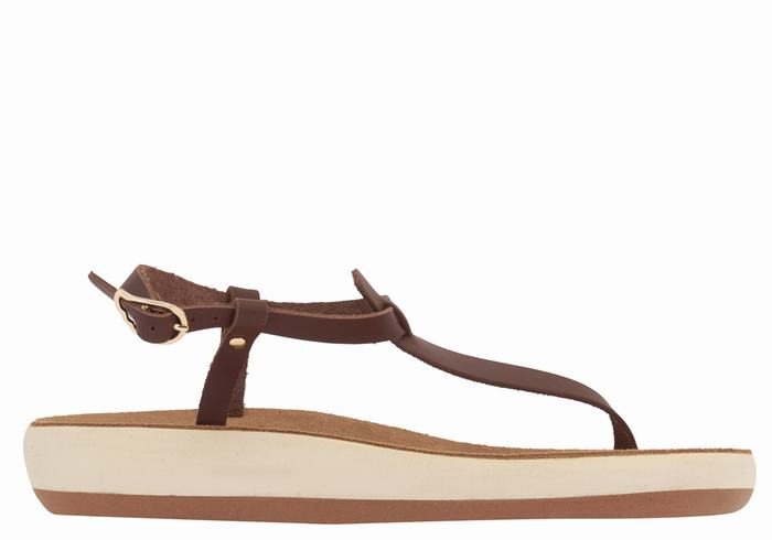 Coffee Ancient Greek Sandals Lito Comfort Women Back-Strap Sandals | ZWV5786AZ