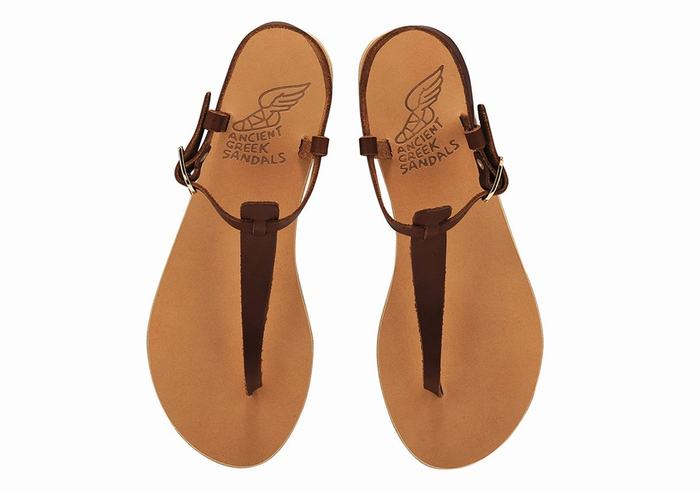 Coffee Ancient Greek Sandals Lito Flip Flop Leather Women Back-Strap Sandals | GEB5046NJ