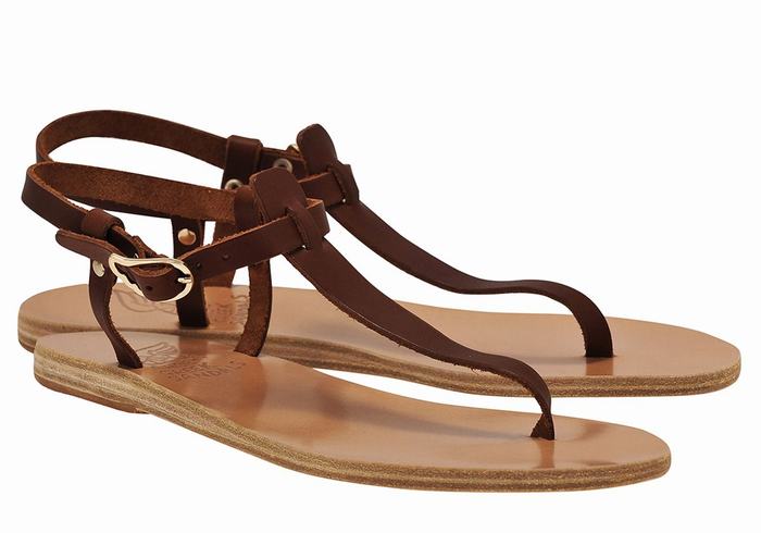 Coffee Ancient Greek Sandals Lito Flip Flop Leather Women Back-Strap Sandals | GEB5046NJ