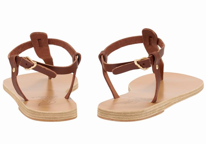 Coffee Ancient Greek Sandals Lito Flip Flop Leather Women Back-Strap Sandals | GEB5046NJ