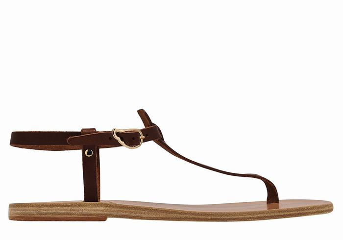 Coffee Ancient Greek Sandals Lito Flip Flop Leather Women Back-Strap Sandals | GEB5046NJ