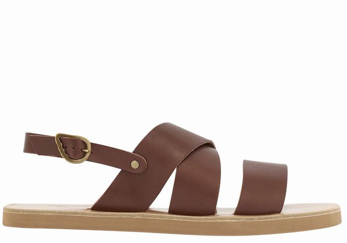 Coffee Ancient Greek Sandals Miltos Men Casual Sandals | TDP7877US