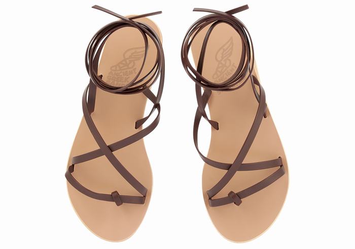 Coffee Ancient Greek Sandals Morfi Leather Women Gladiator Sandals | UMZ1343VF