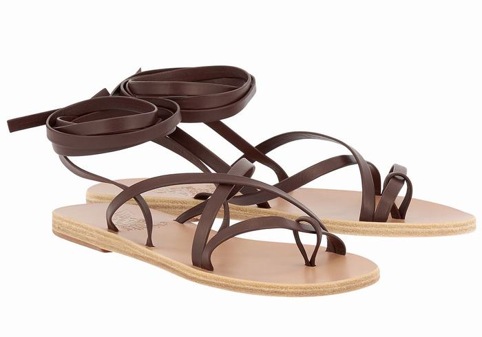 Coffee Ancient Greek Sandals Morfi Leather Women Gladiator Sandals | UMZ1343VF