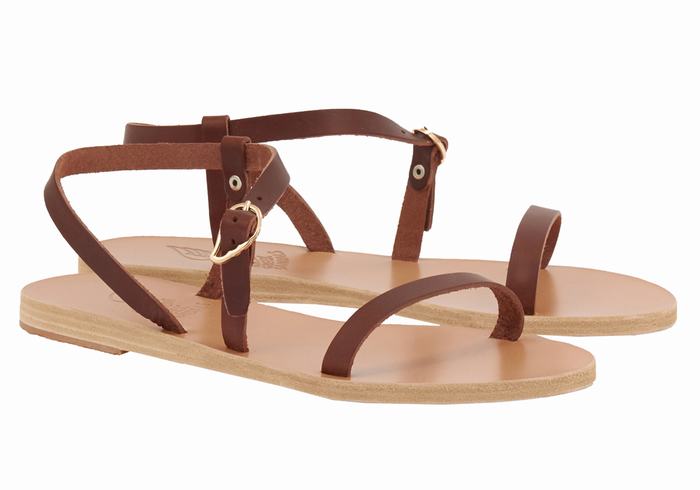 Coffee Ancient Greek Sandals Niove Leather Women Back-Strap Sandals | TLS9011WF