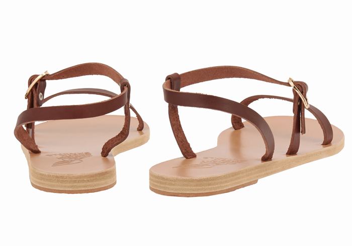 Coffee Ancient Greek Sandals Niove Leather Women Back-Strap Sandals | TLS9011WF