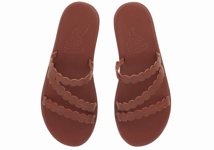 Coffee Ancient Greek Sandals Oceanis Women Slide Sandals | DHJ1099NJ