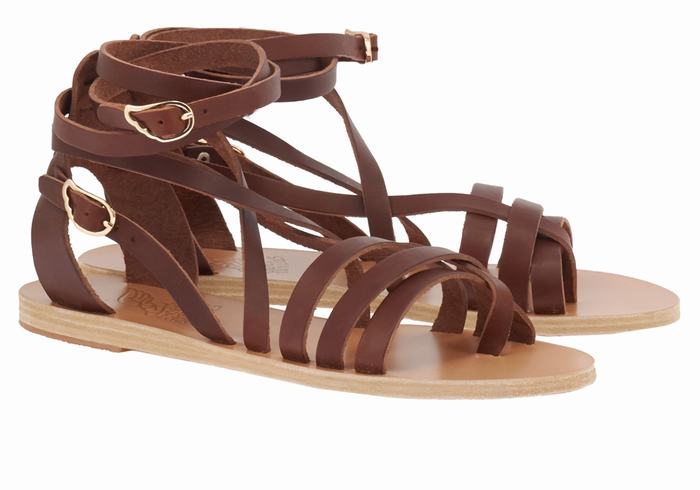 Coffee Ancient Greek Sandals Satira Leather Women Gladiator Sandals | JJQ9092CA